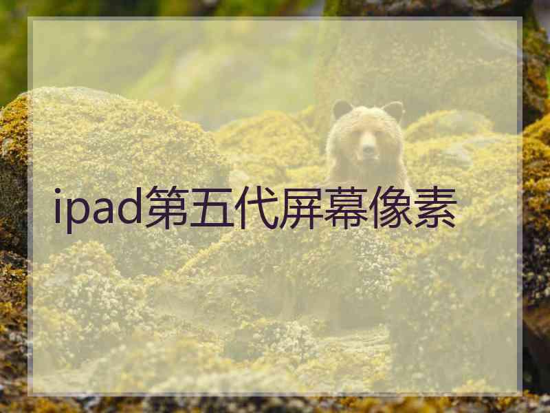 ipad第五代屏幕像素