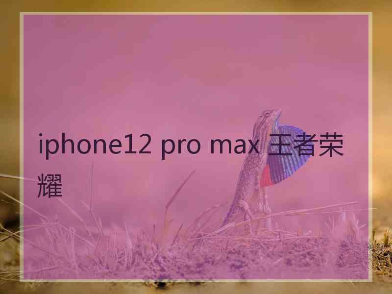 iphone12 pro max 王者荣耀