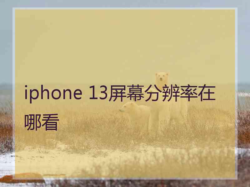 iphone 13屏幕分辨率在哪看