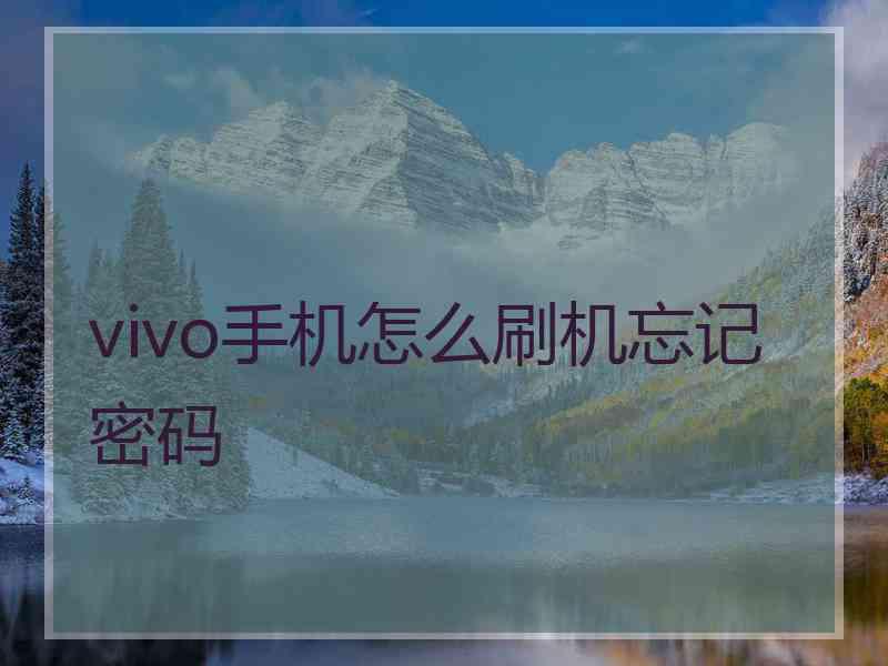 vivo手机怎么刷机忘记密码