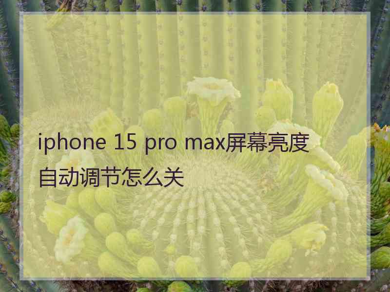 iphone 15 pro max屏幕亮度自动调节怎么关