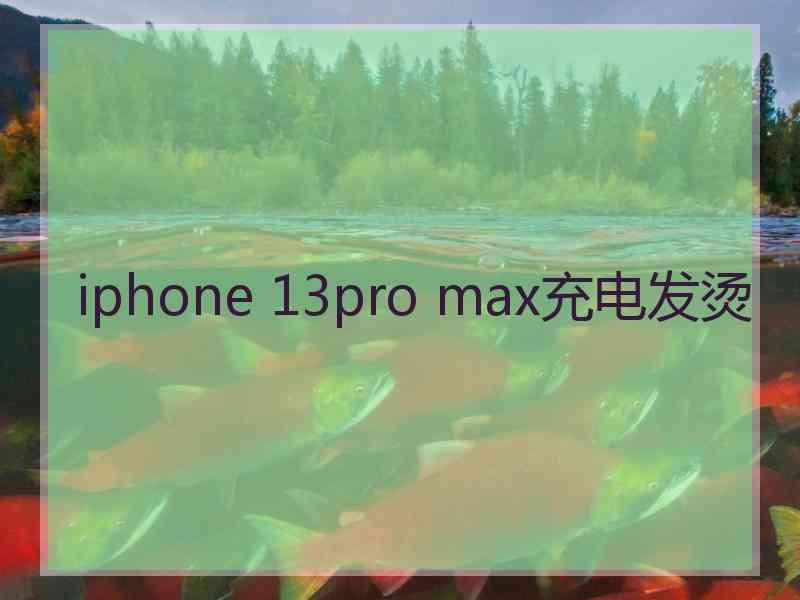 iphone 13pro max充电发烫