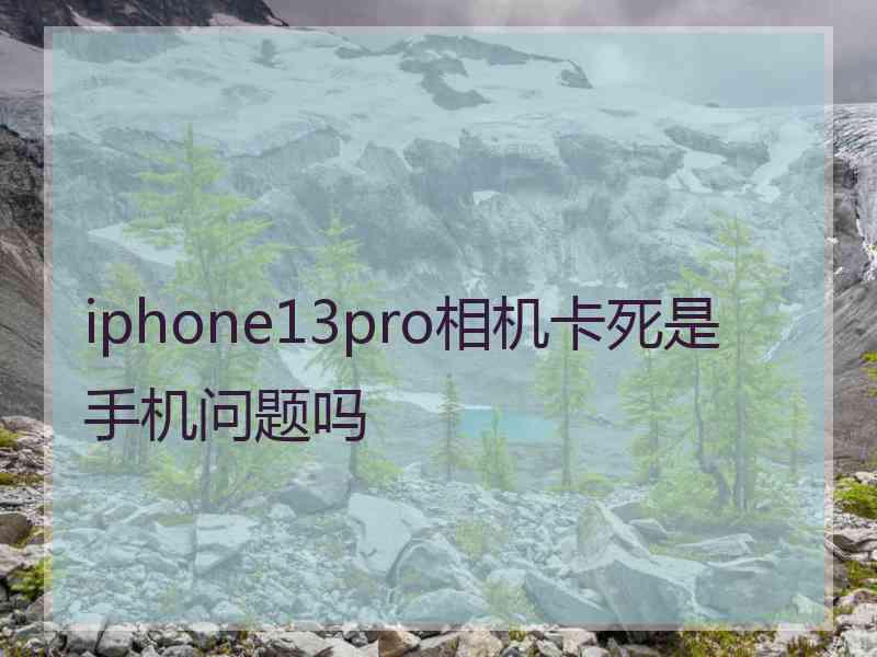 iphone13pro相机卡死是手机问题吗