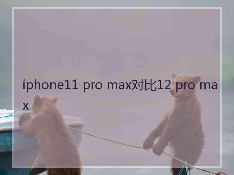 iphone11 pro max对比12 pro max