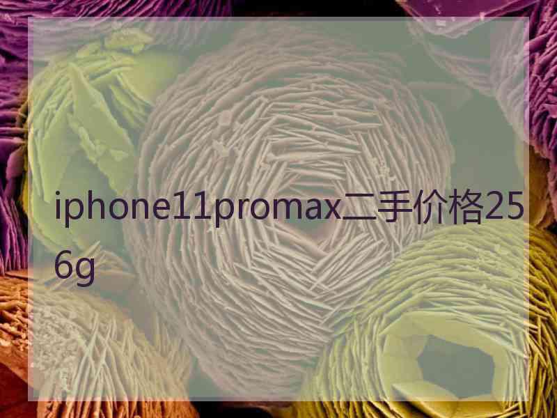 iphone11promax二手价格256g