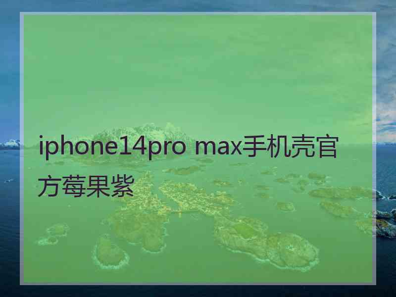 iphone14pro max手机壳官方莓果紫