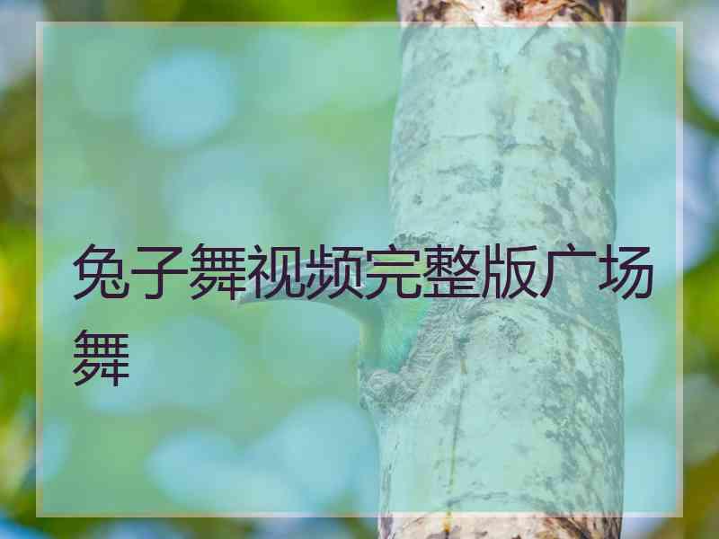 兔子舞视频完整版广场舞