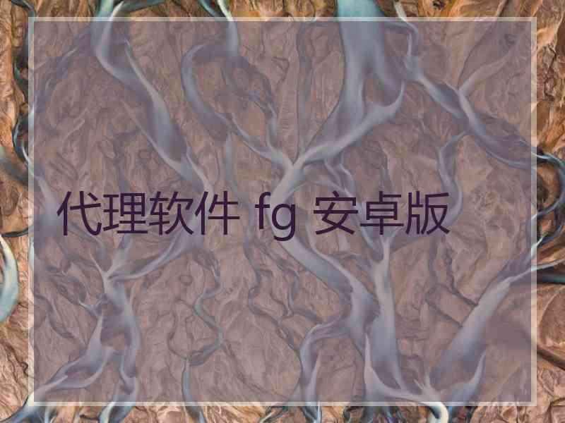 代理软件 fg 安卓版