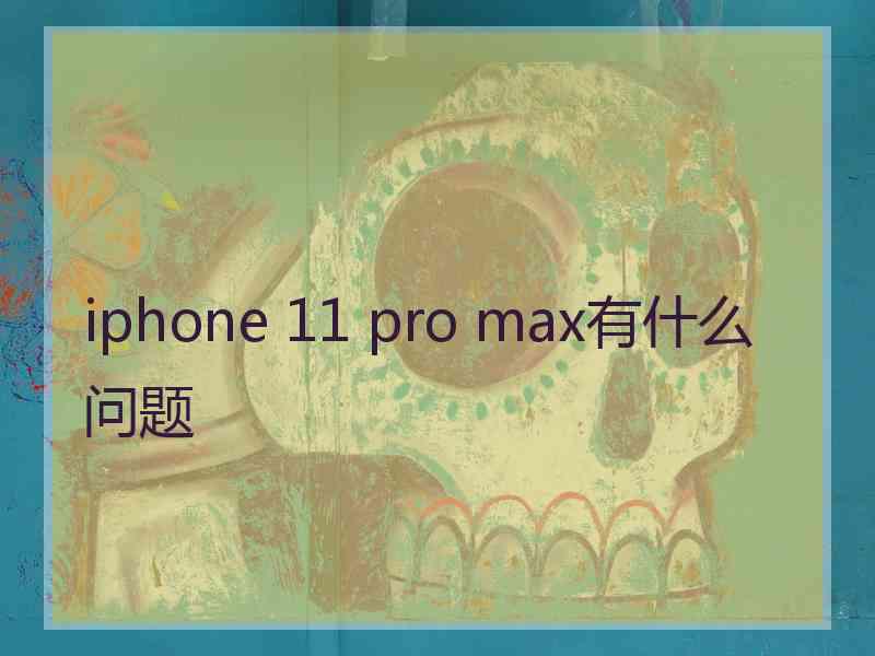 iphone 11 pro max有什么问题