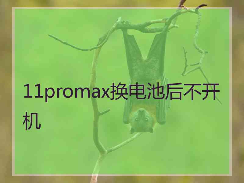 11promax换电池后不开机