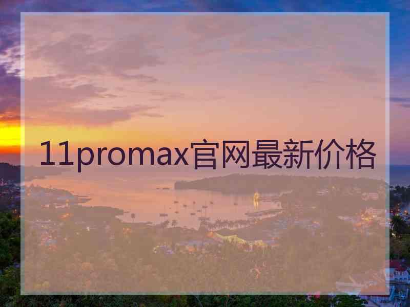 11promax官网最新价格