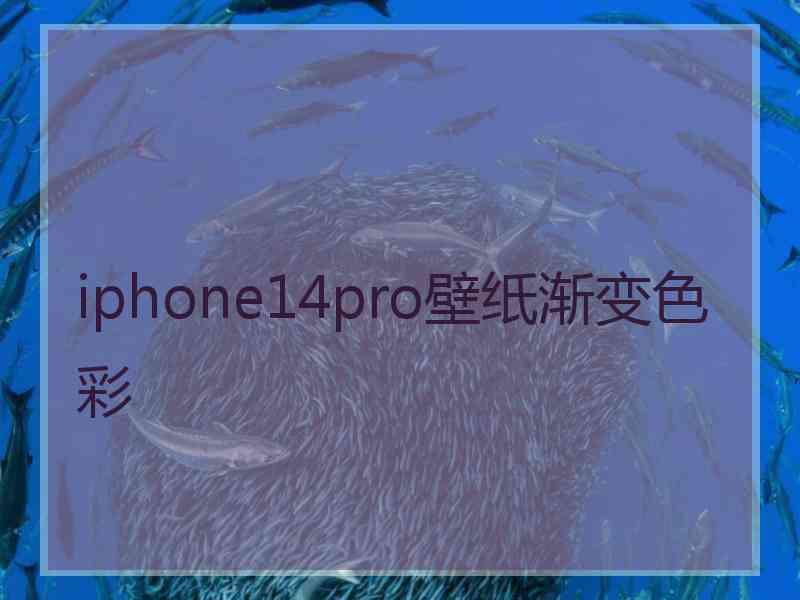 iphone14pro壁纸渐变色彩