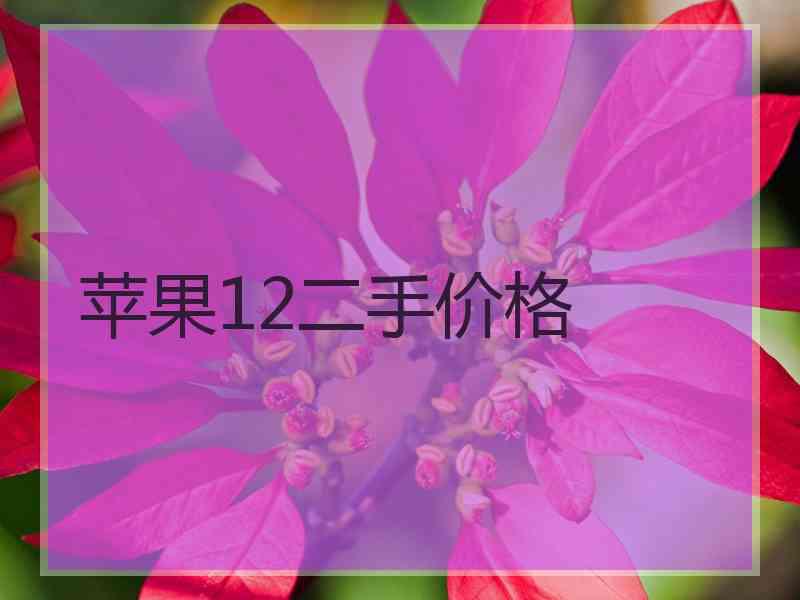 苹果12二手价格