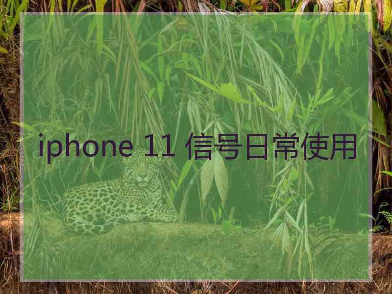 iphone 11 信号日常使用