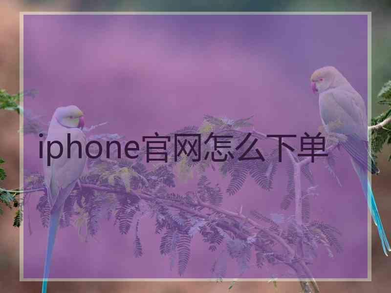 iphone官网怎么下单