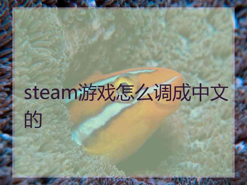 steam游戏怎么调成中文的