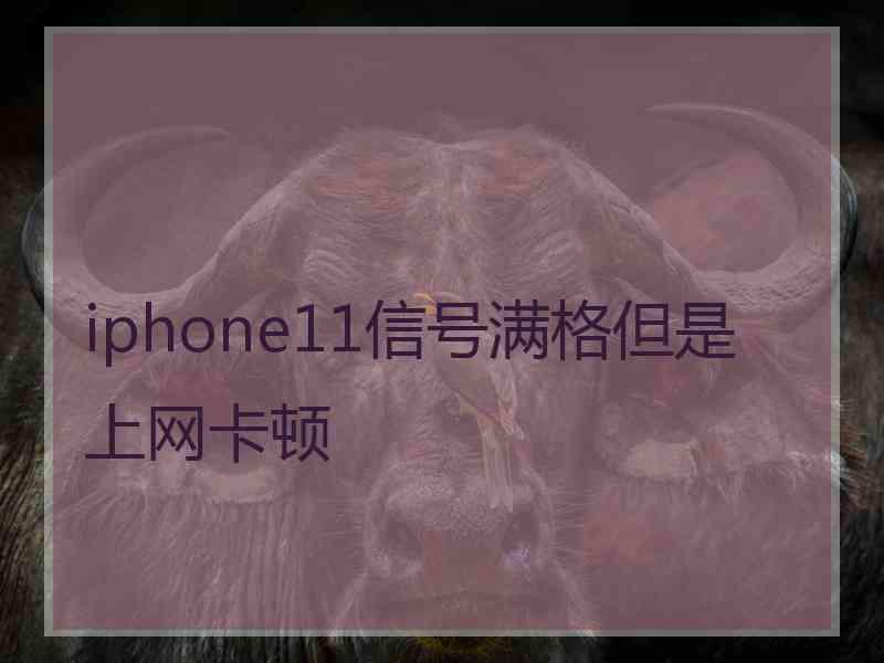 iphone11信号满格但是上网卡顿