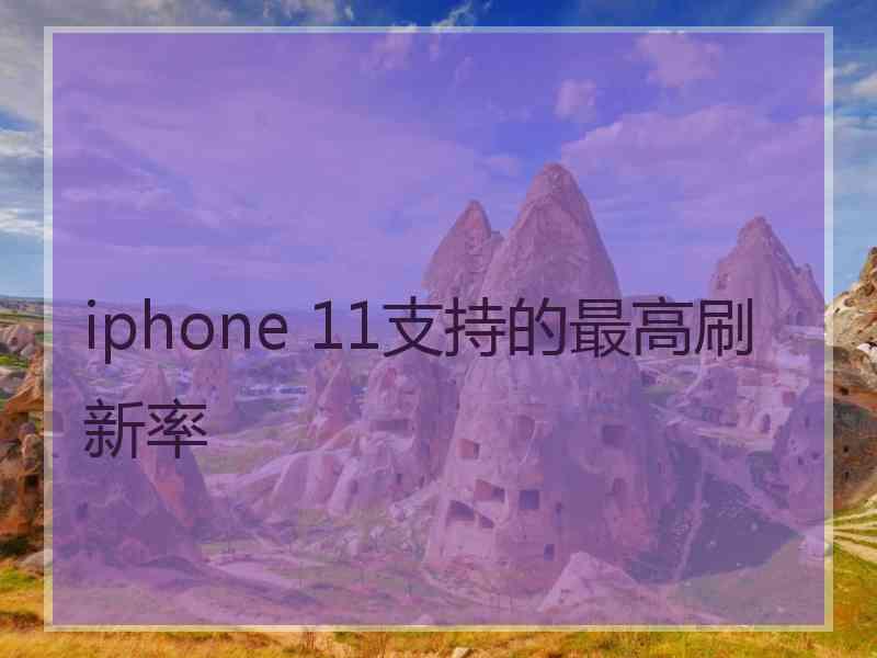 iphone 11支持的最高刷新率