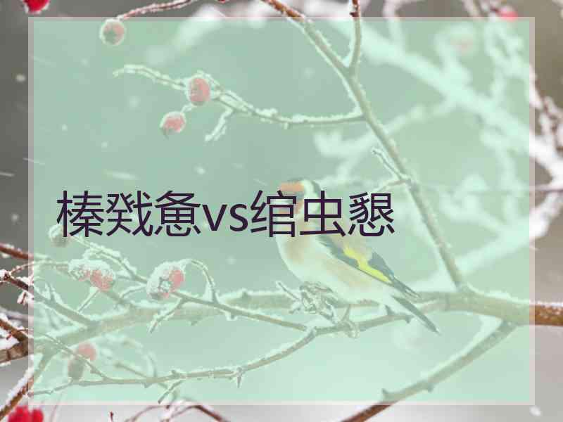 榛戣惫vs绾虫懇