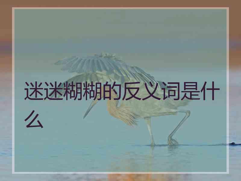 迷迷糊糊的反义词是什么