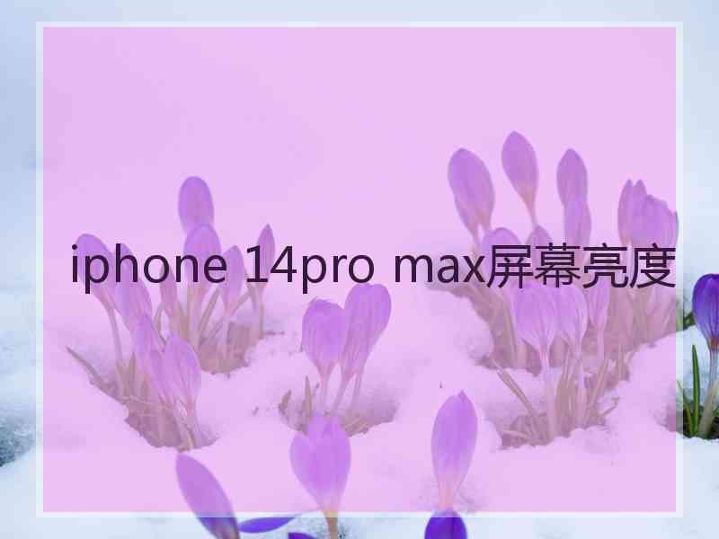 iphone 14pro max屏幕亮度