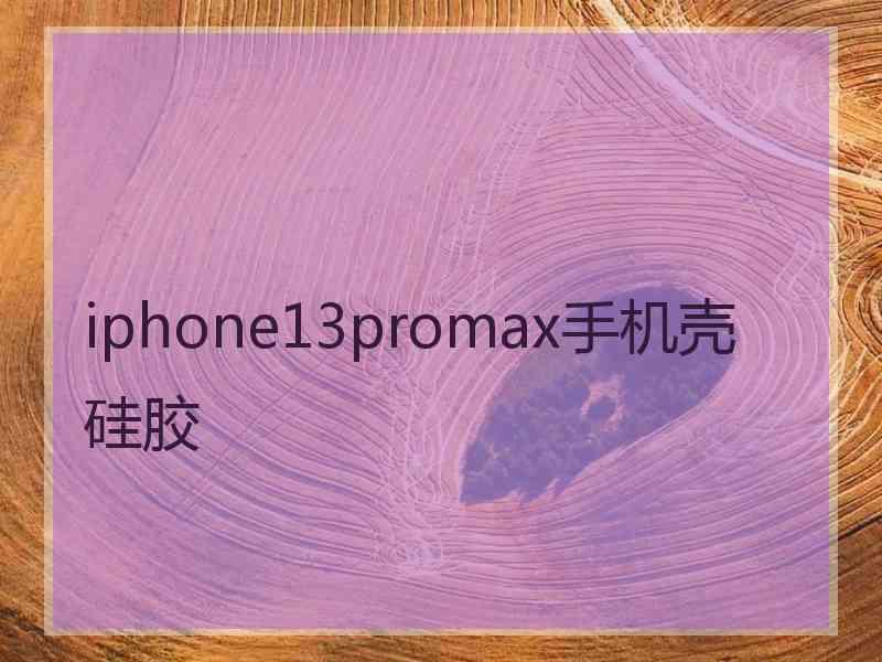 iphone13promax手机壳 硅胶