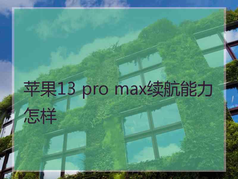 苹果13 pro max续航能力怎样