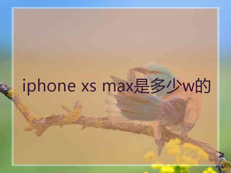 iphone xs max是多少w的