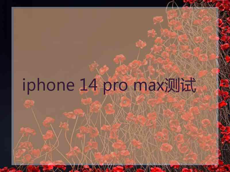 iphone 14 pro max测试