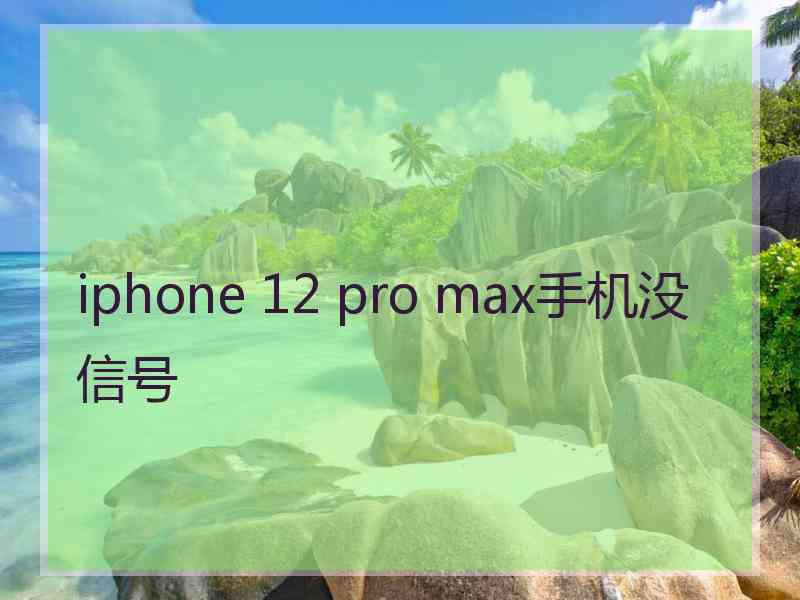 iphone 12 pro max手机没信号