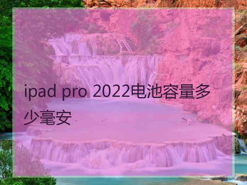 ipad pro 2022电池容量多少毫安