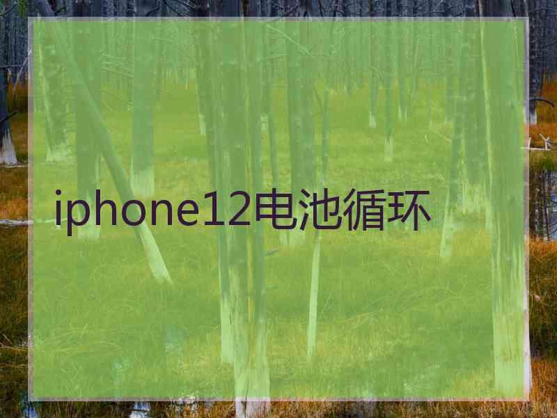 iphone12电池循环