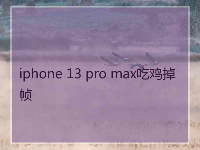 iphone 13 pro max吃鸡掉帧