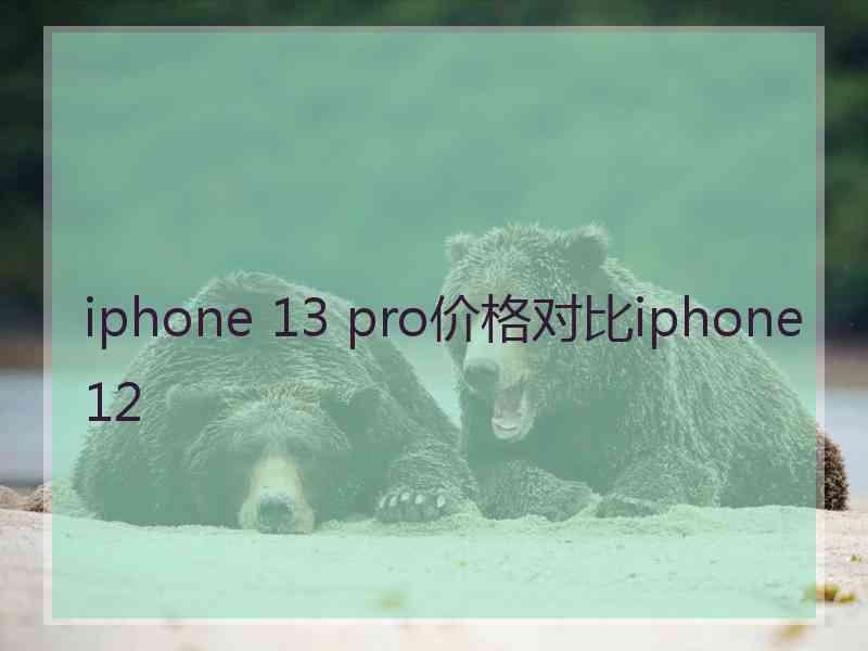 iphone 13 pro价格对比iphone12