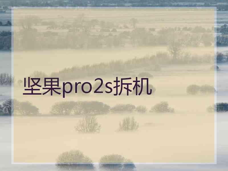 坚果pro2s拆机