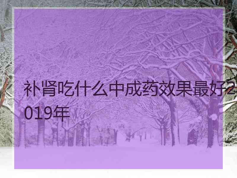 补肾吃什么中成药效果最好2019年