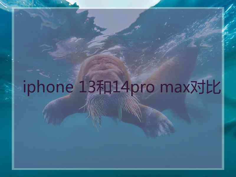 iphone 13和14pro max对比