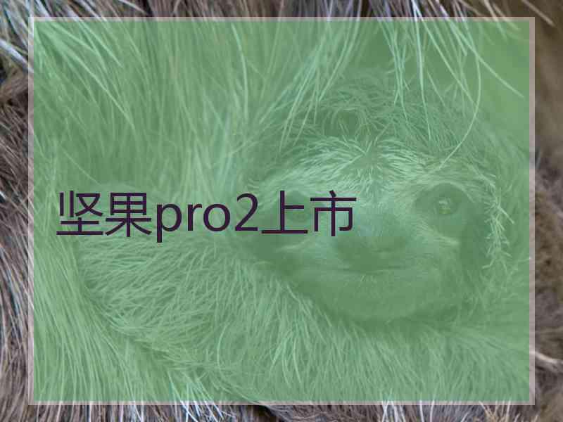 坚果pro2上市