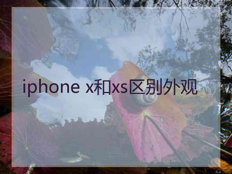 iphone x和xs区别外观