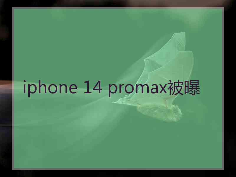 iphone 14 promax被曝