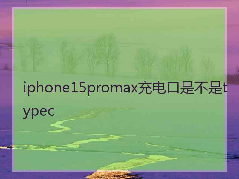 iphone15promax充电口是不是typec