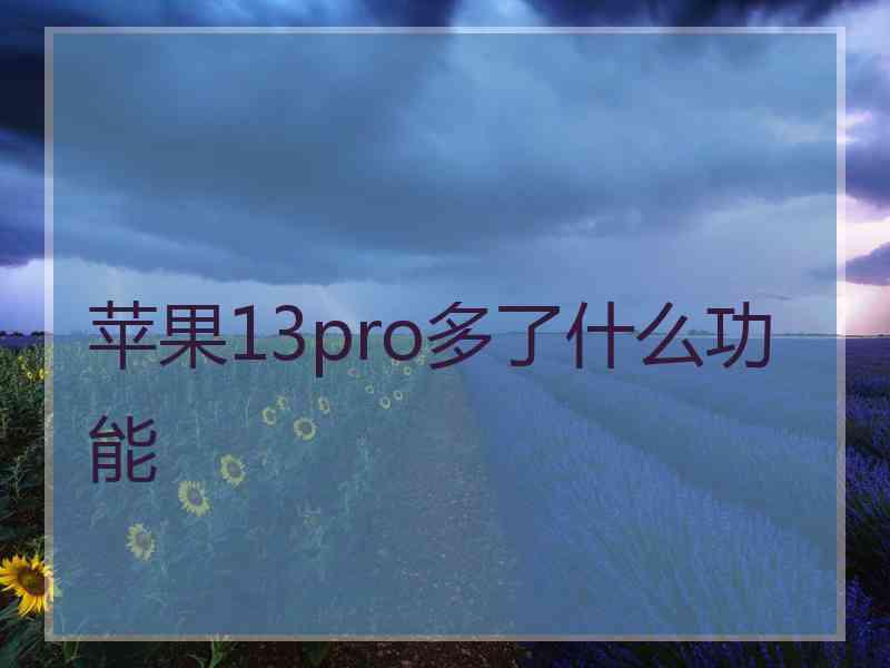 苹果13pro多了什么功能