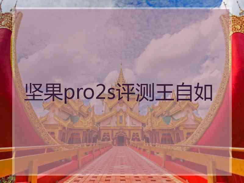 坚果pro2s评测王自如