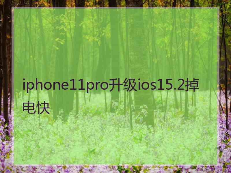 iphone11pro升级ios15.2掉电快