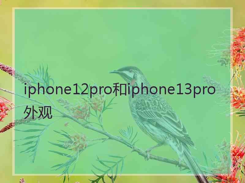 iphone12pro和iphone13pro外观