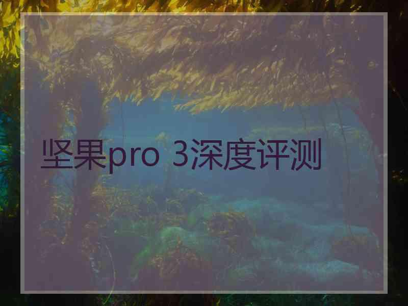 坚果pro 3深度评测