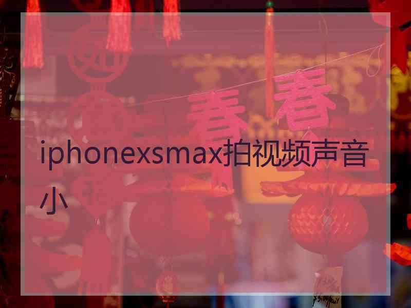 iphonexsmax拍视频声音小