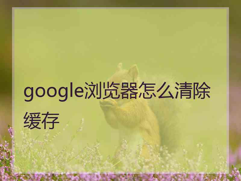 google浏览器怎么清除缓存