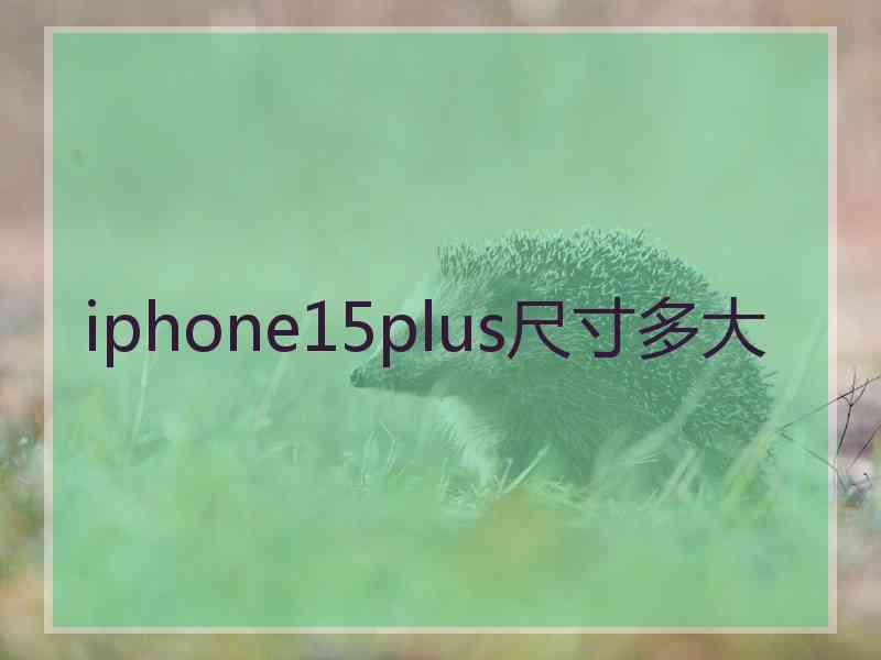 iphone15plus尺寸多大