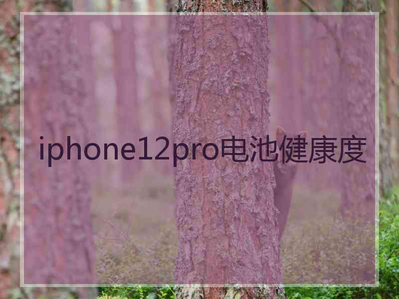 iphone12pro电池健康度